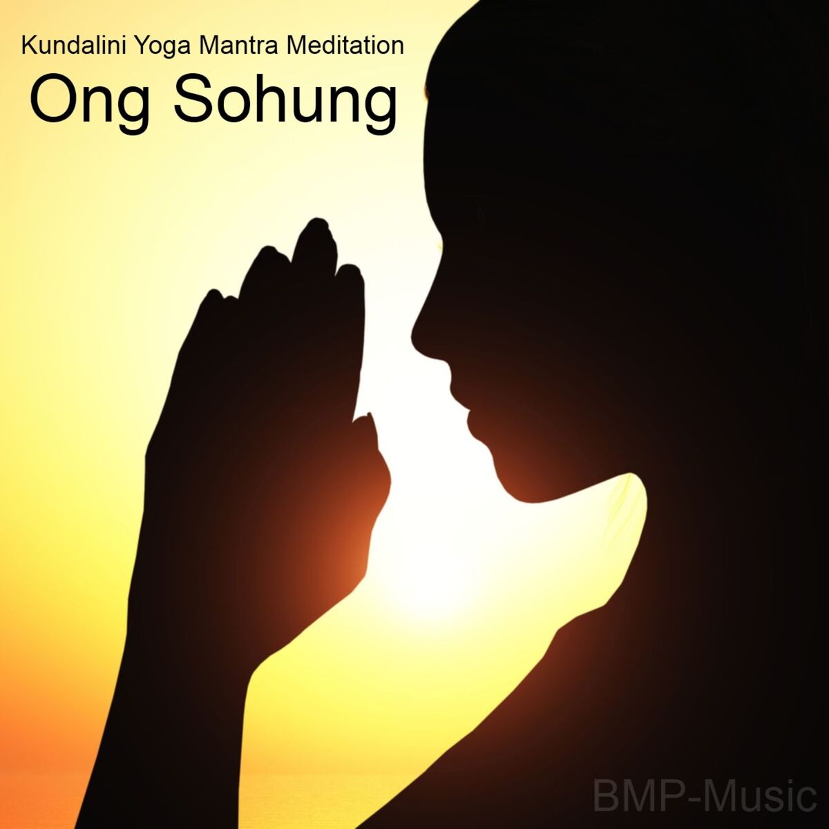 Album cover of Ong Sohung