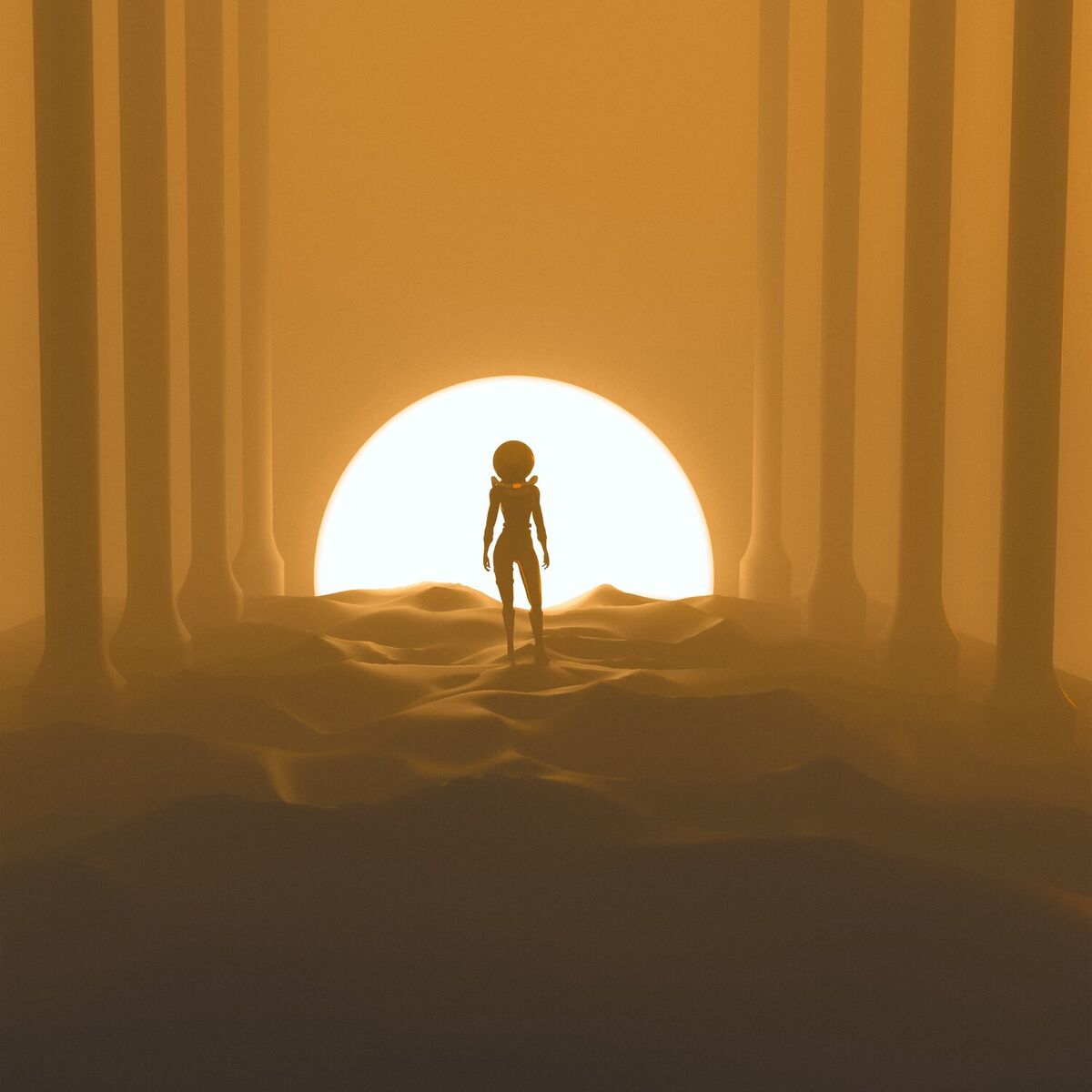 Album cover of Meh (Guitar Cover)