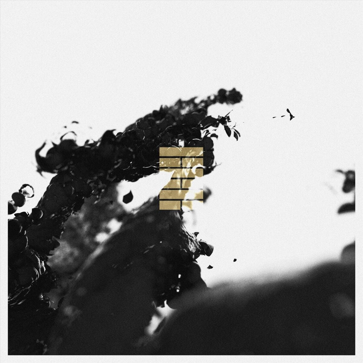 Album cover of Not This, Not This