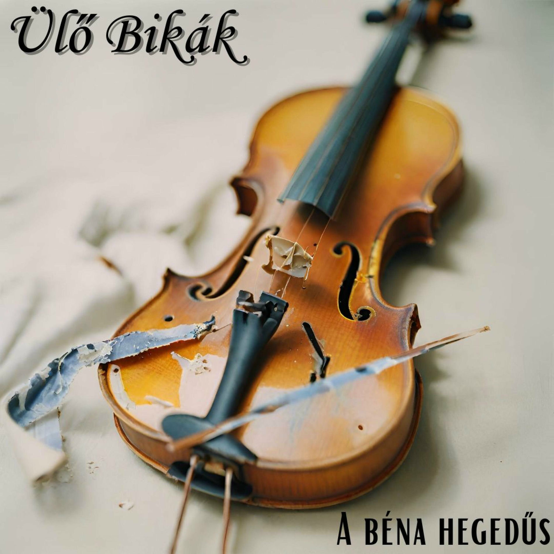 Album cover of A béna hegedűs