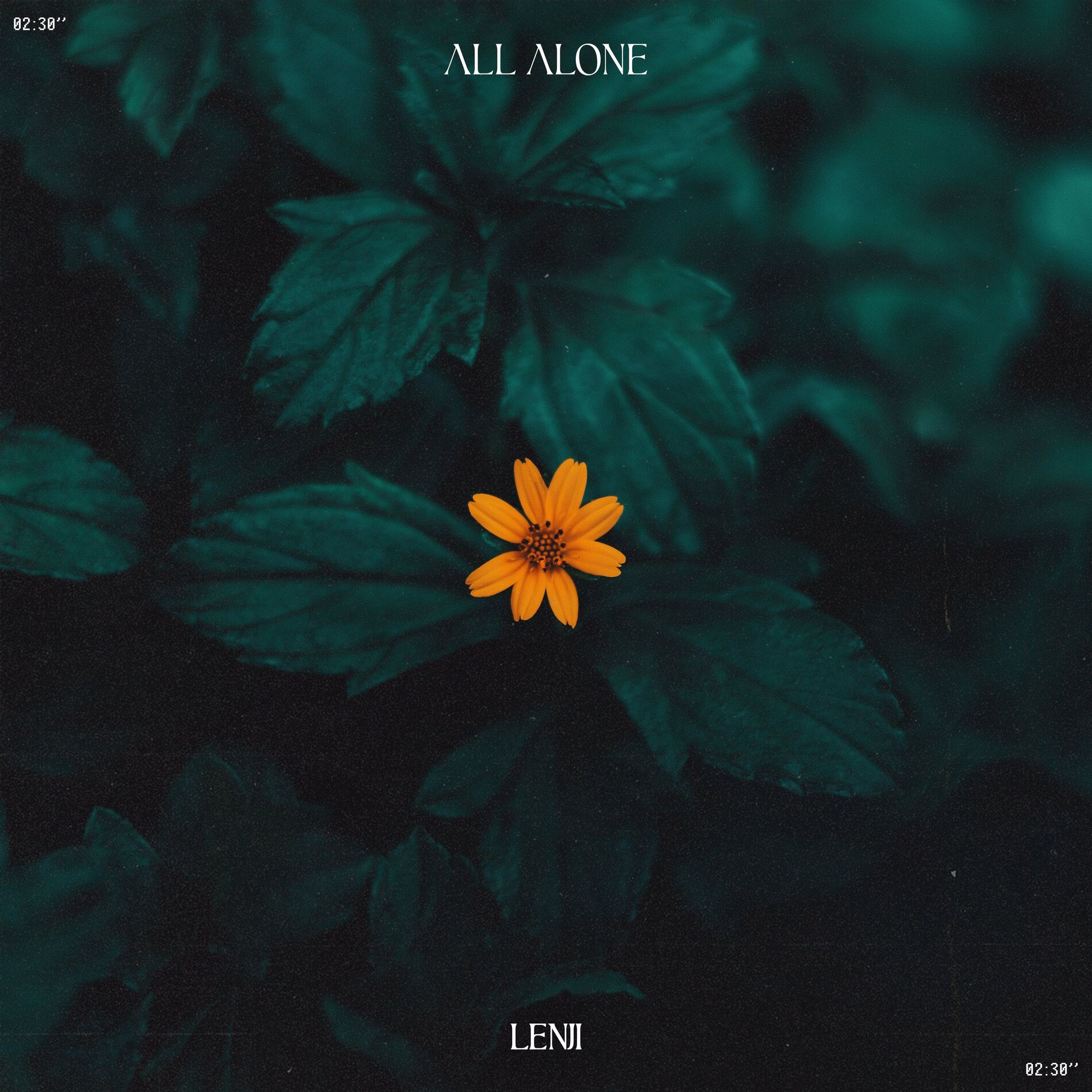 Album cover of All Alone
