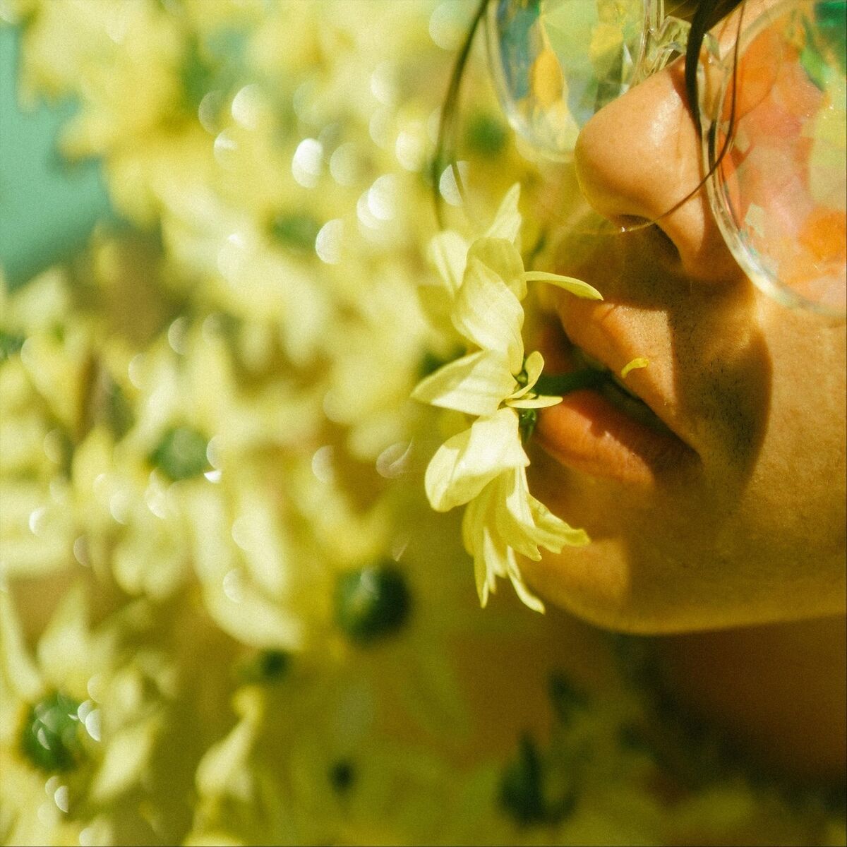 Album cover of Mami