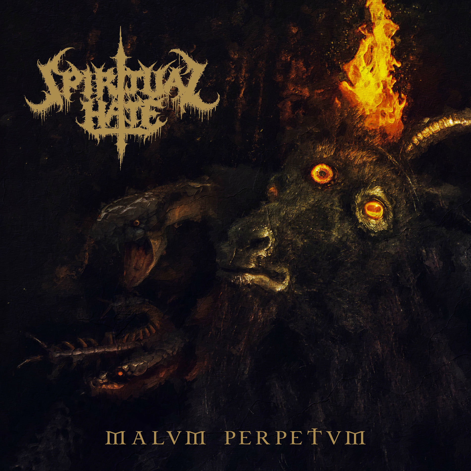 Album cover of Malvm Perpetvm