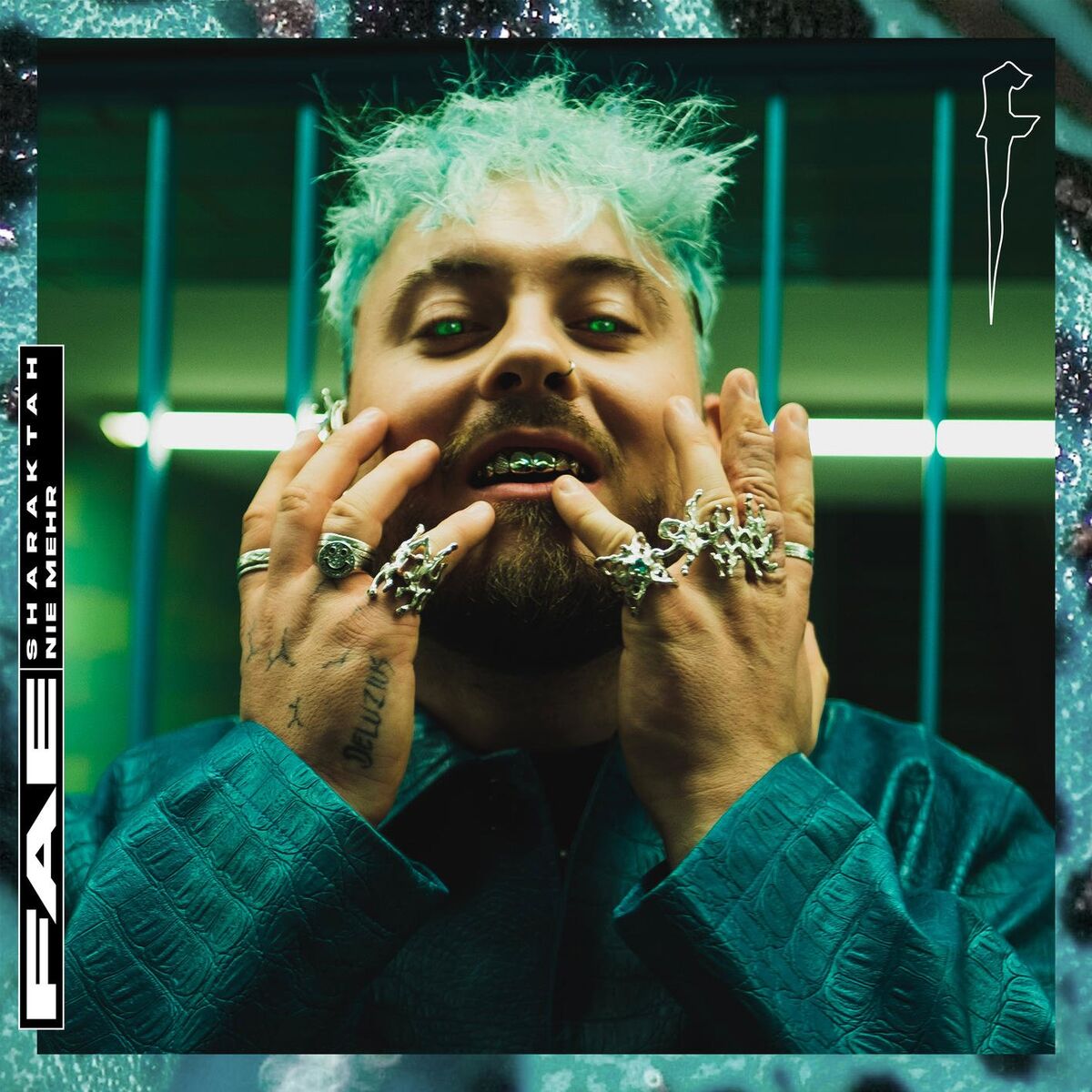 Album cover of Nie mehr