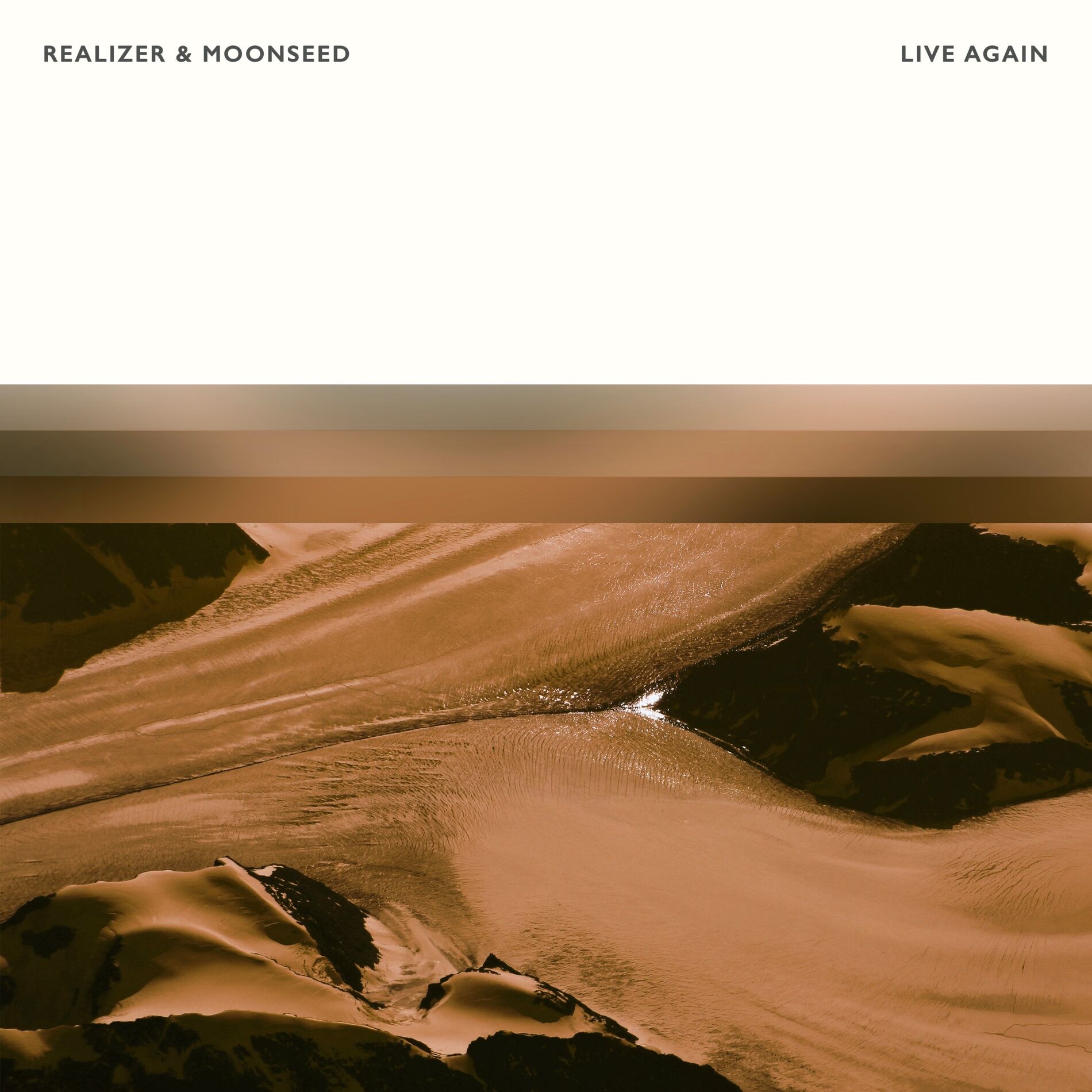 Album cover of Live Again