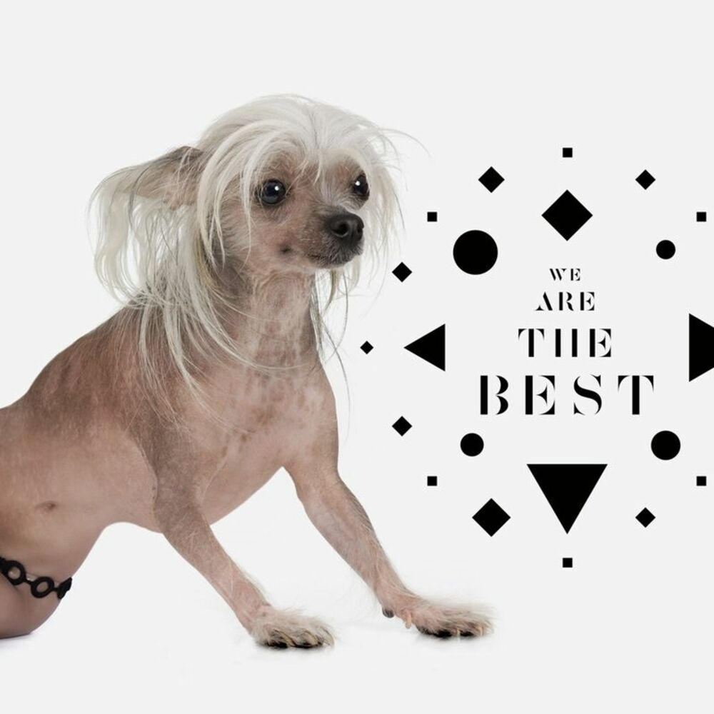 Picture of We Are The Best