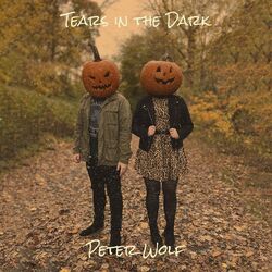 Cover of Tears in the Dark
