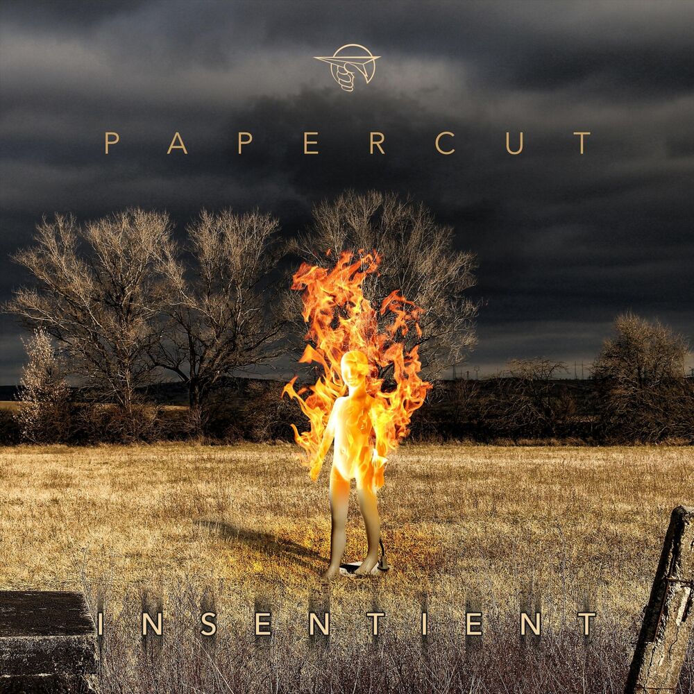 Picture of Insentient