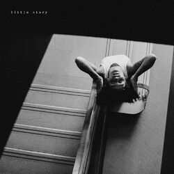 Cover of little story