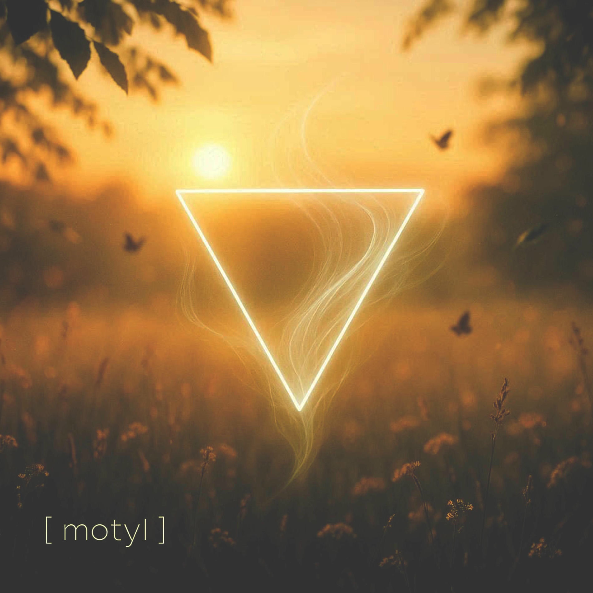 Album cover of Motyl