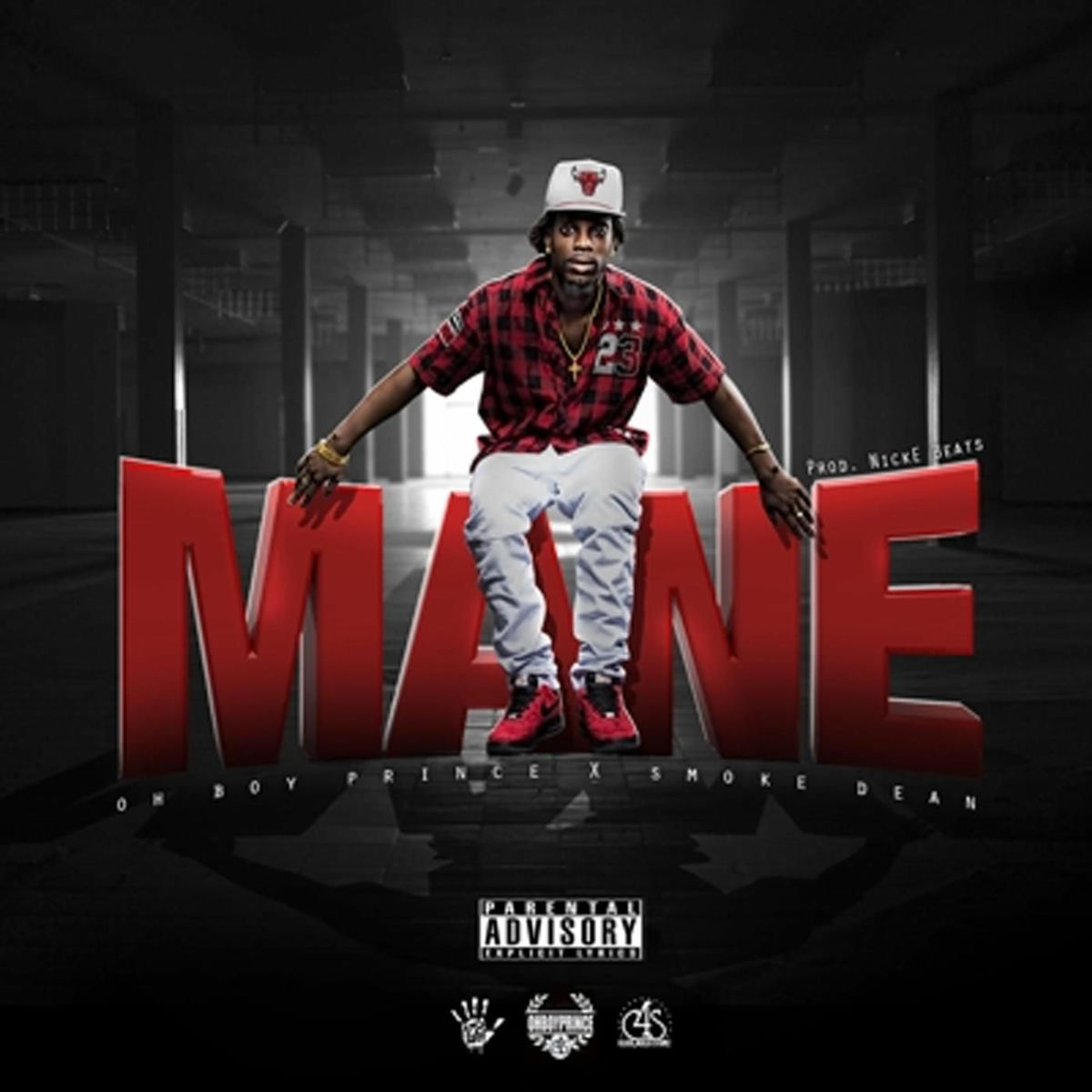 Album cover of Mane