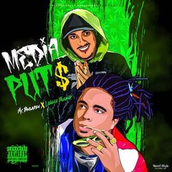 Cover of Media Puta