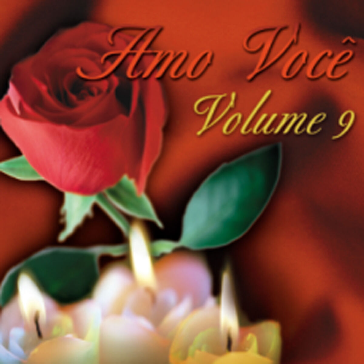 Album cover of Amo Você Vol. 9