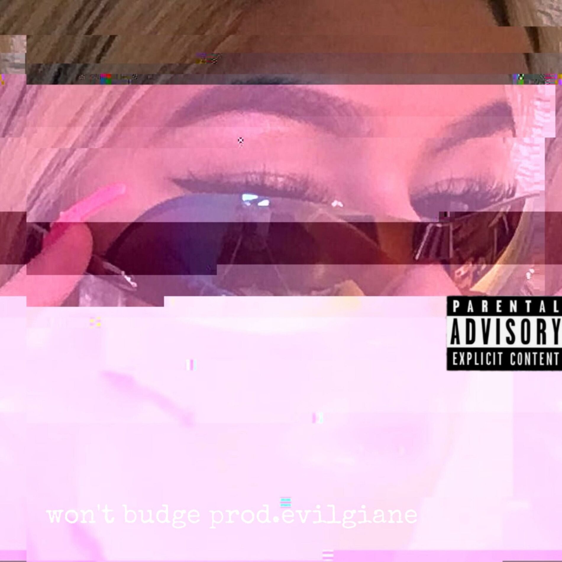 Album cover of wont budge