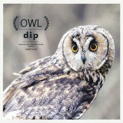 Cover of OWL