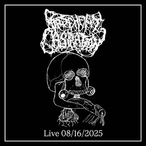 Fucked Beyond Recognition Live (Live) cover art
