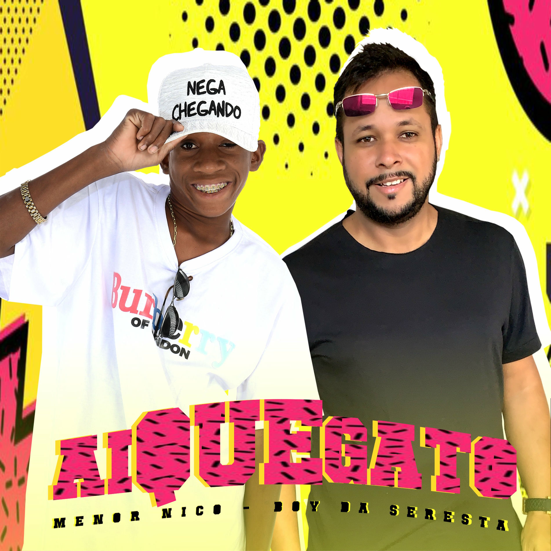 Album cover of Ai Que Gato