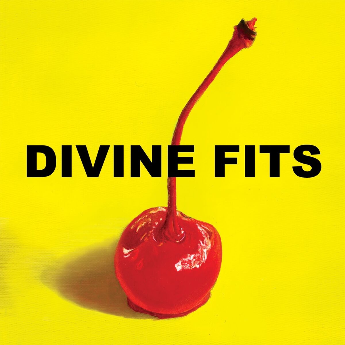 Album cover of A Thing Called Divine Fits