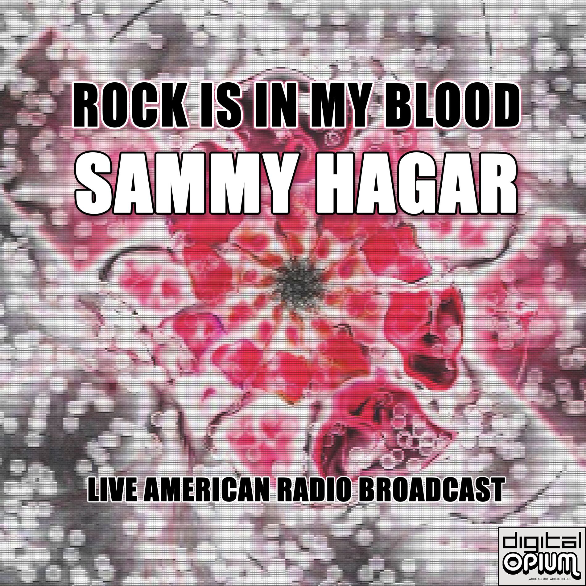 Album cover of Rock Is In My Blood (Live)