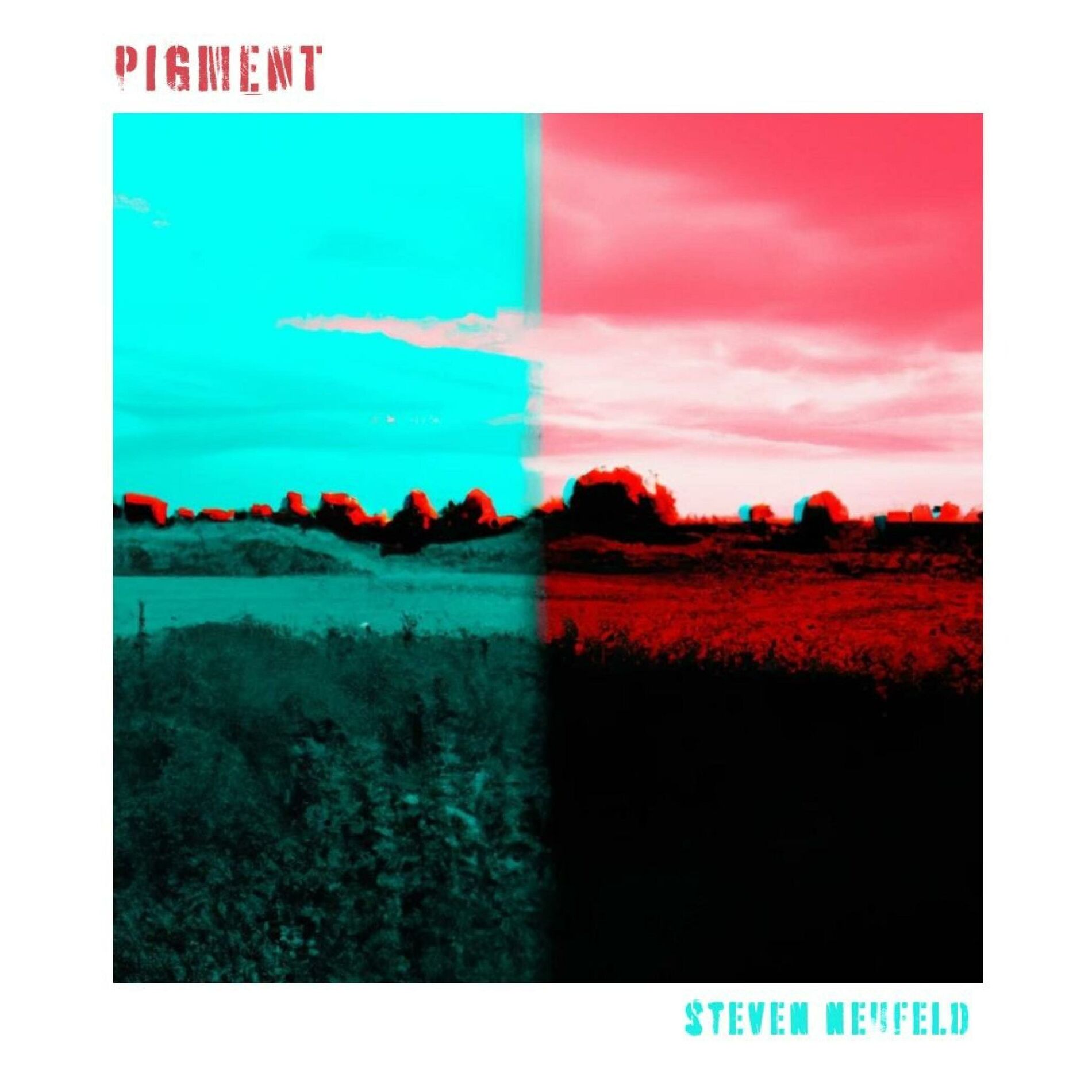 Album cover of Pigment