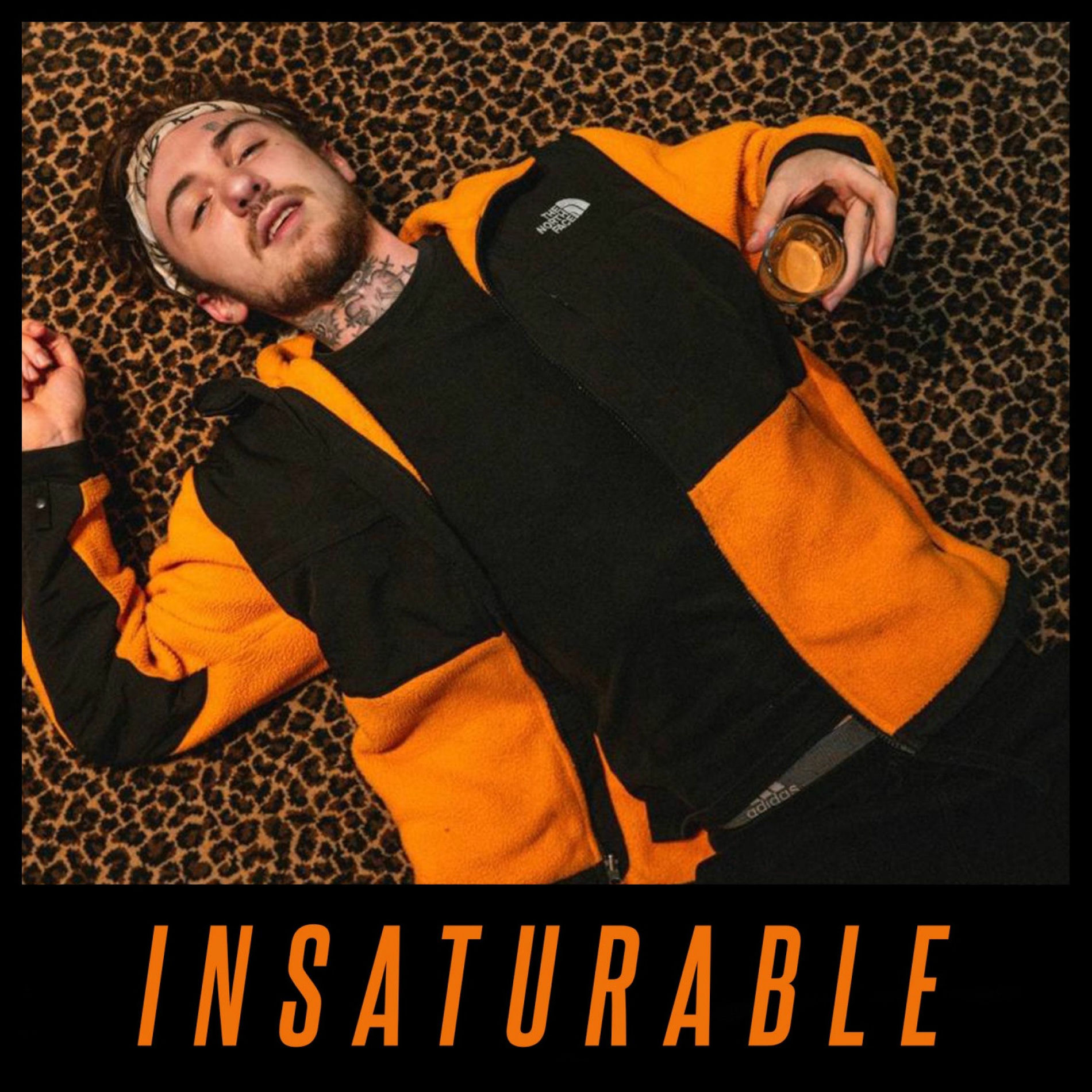 Album cover of Insaturable