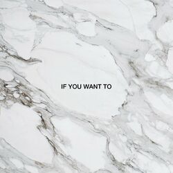 Cover of If You Want To