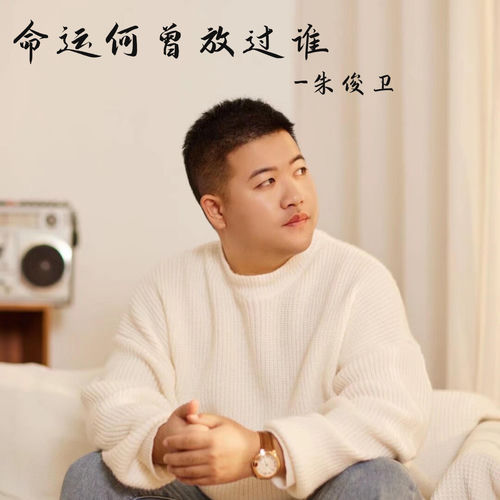 命运何曾放过谁