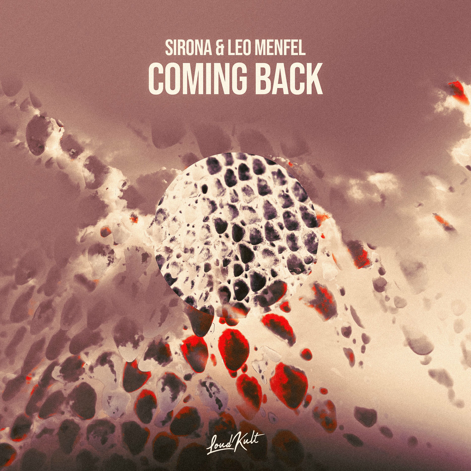 Album cover of Coming Back