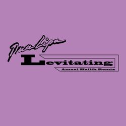 Cover of Levitating (feat. Prakriti Kakar & Sukriti Kakar) [Amaal Mallik Remix]