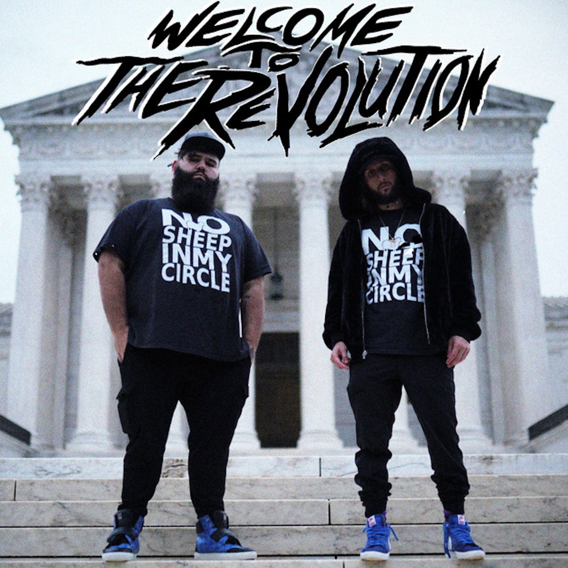 Album cover of Welcome To The Revolution