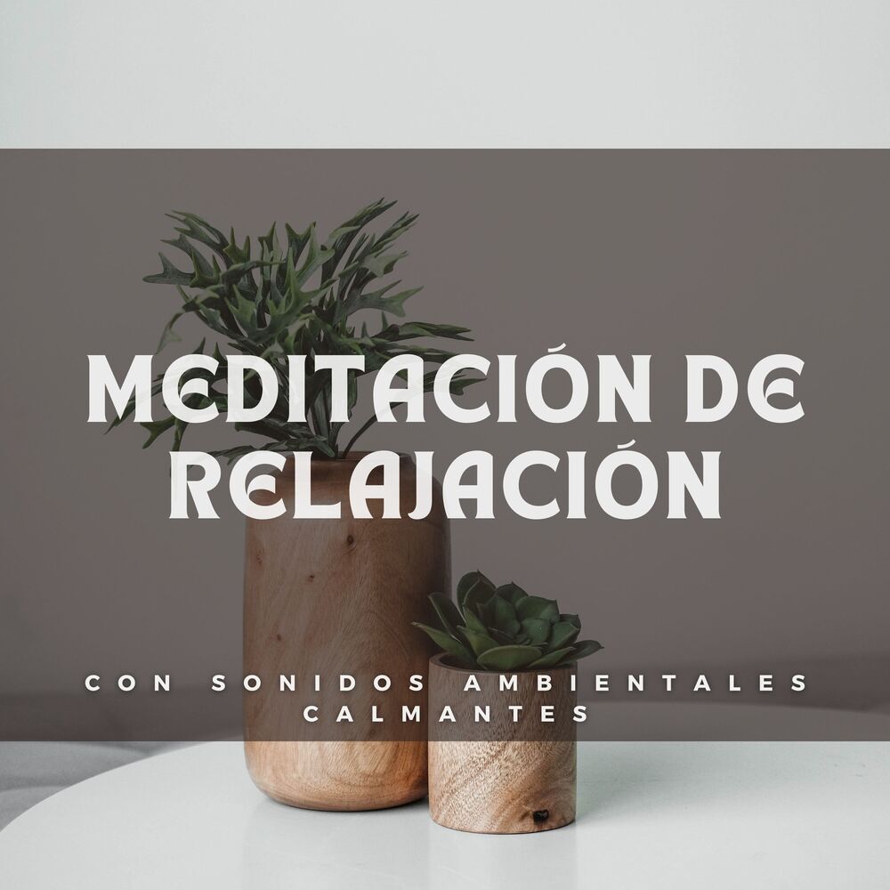 Picture of Meditación De Relajación Con Sonidos Ambientales Calmantes