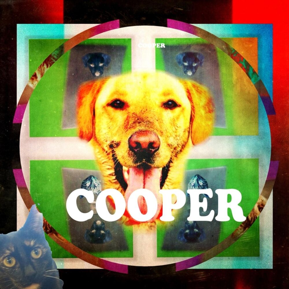Picture of Cooper