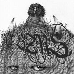 Cover of NO SZNS