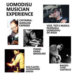 Cover of Musician Experience