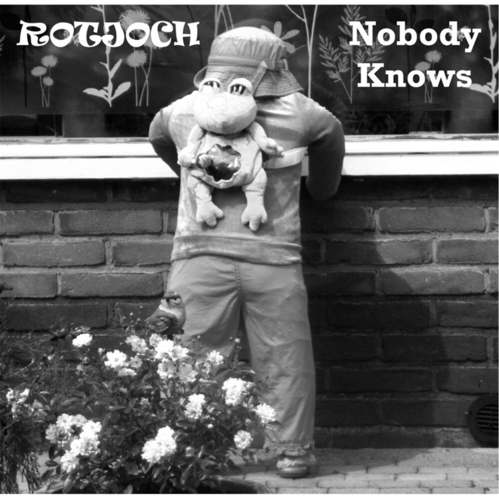Picture of Nobody Knows