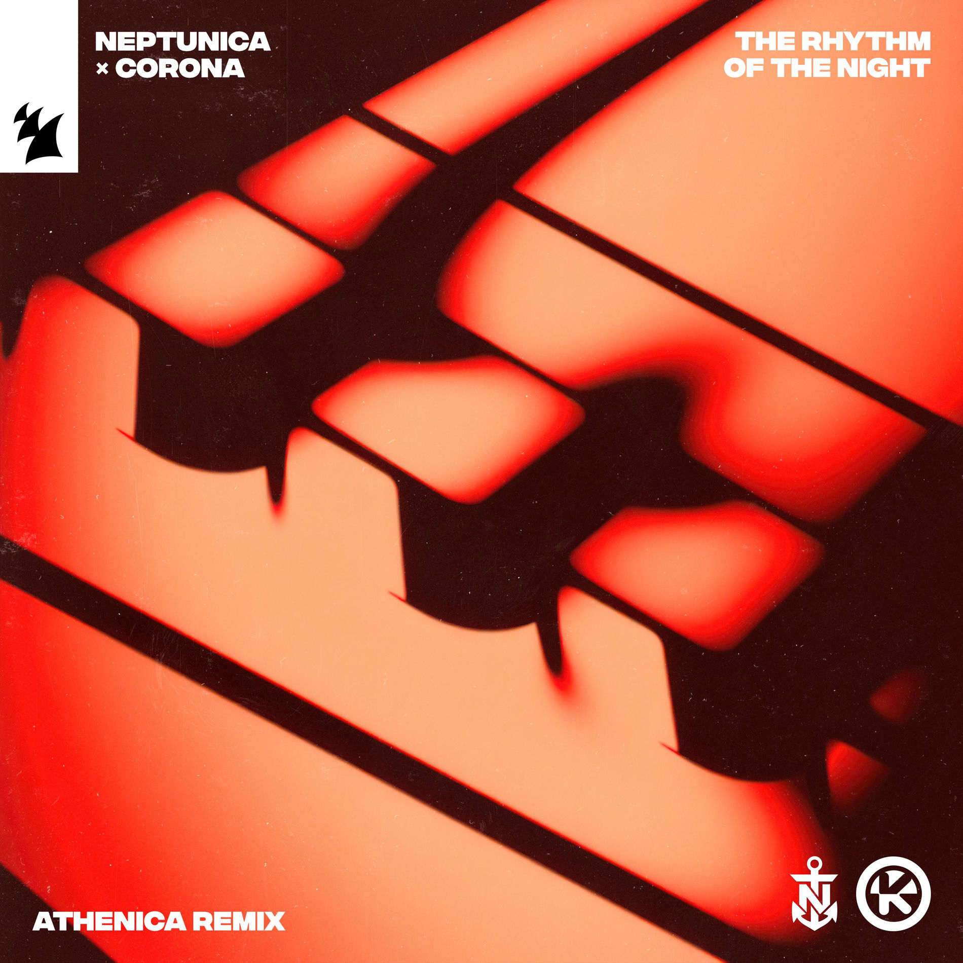 Album cover of The Rhythm of the Night