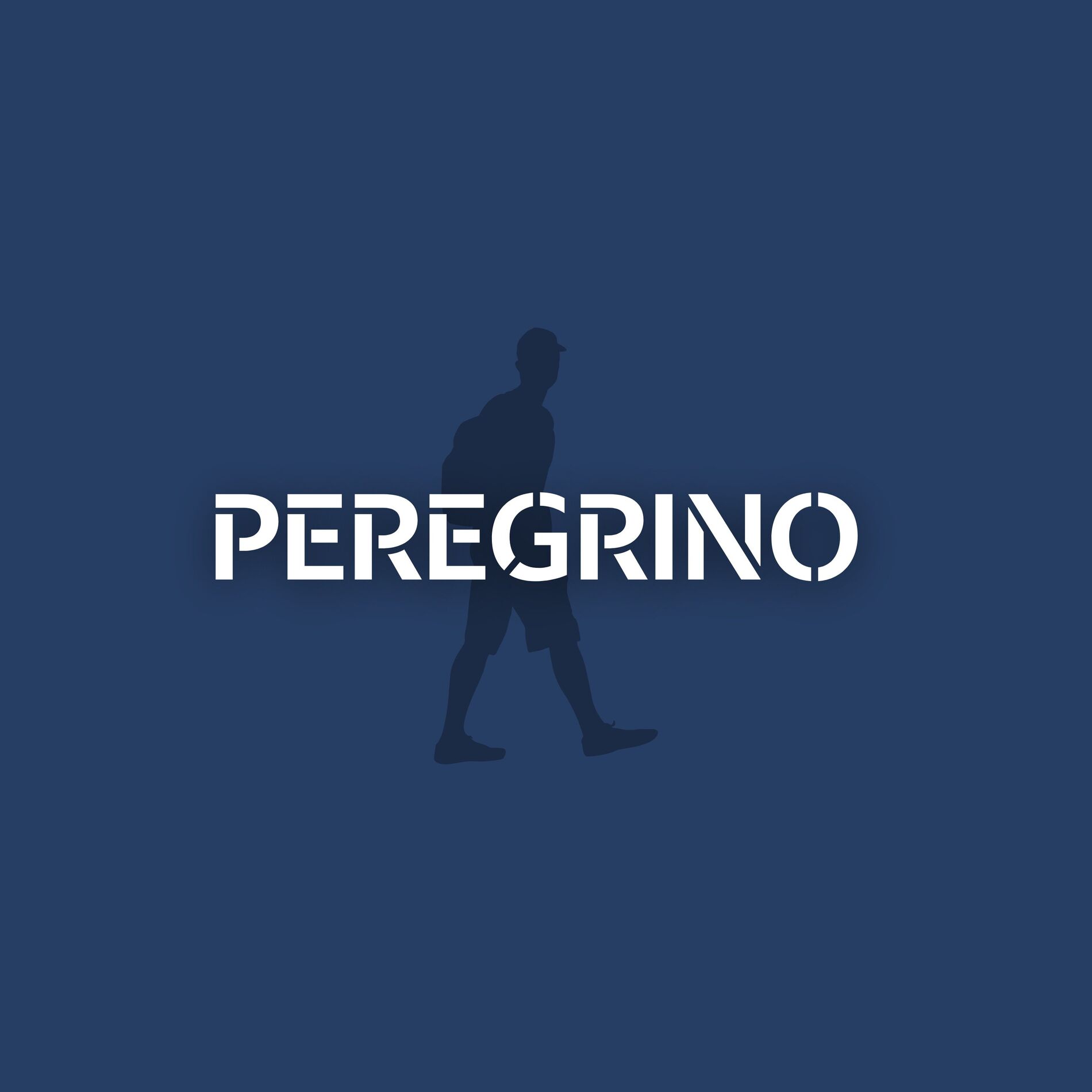 Album cover of Peregrino