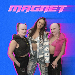 Magnet
