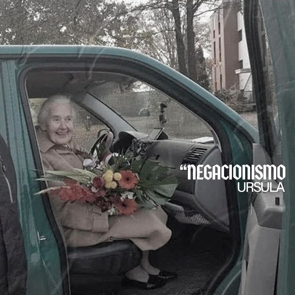 Picture of Negacionismo