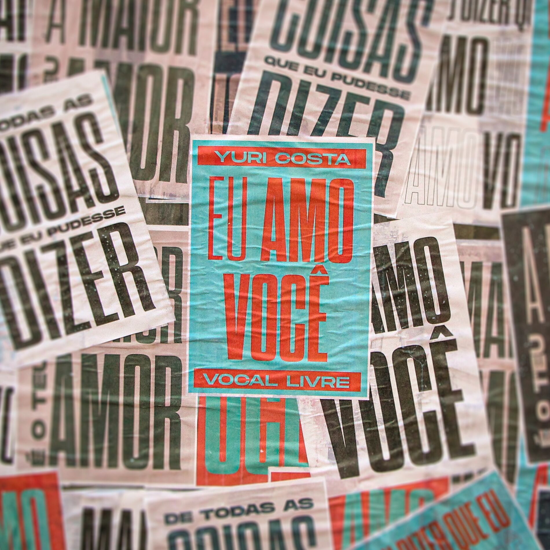 Album cover of Eu Amo Você
