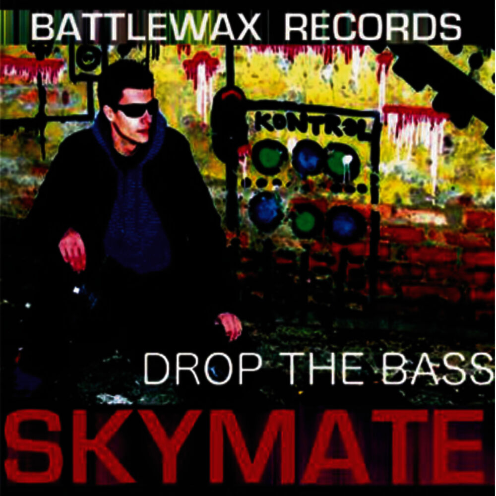 Picture of Skymate LP