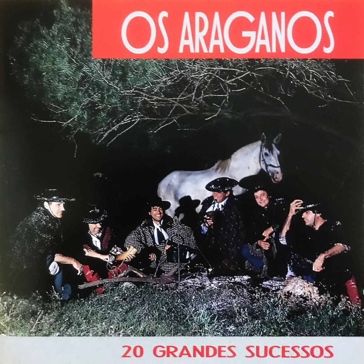 Album cover of 20 Grandes Sucessos