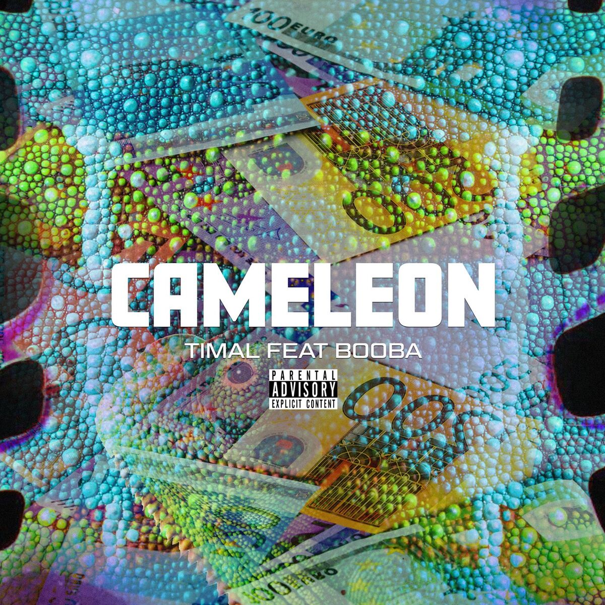 Album cover of Caméléon