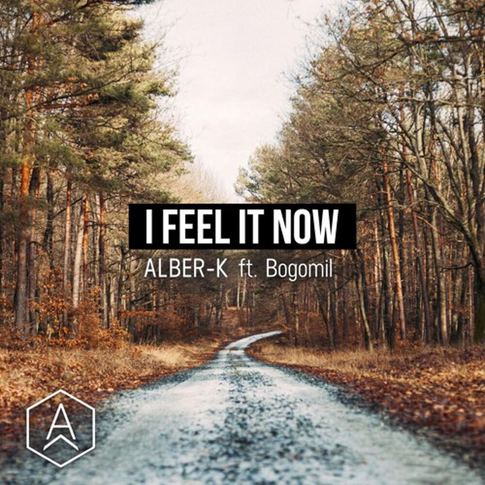 Picture of I Feel It Now (feat. Bogomil)
