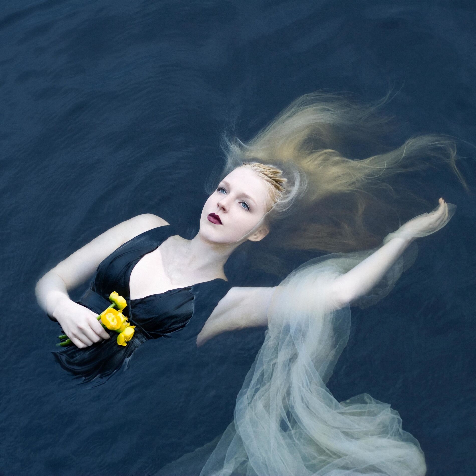 Album cover of Silent Chamber, Noisy Heart