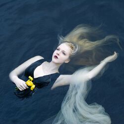 Cover of Silent Chamber, Noisy Heart