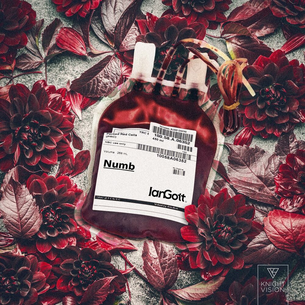 Picture of Numb