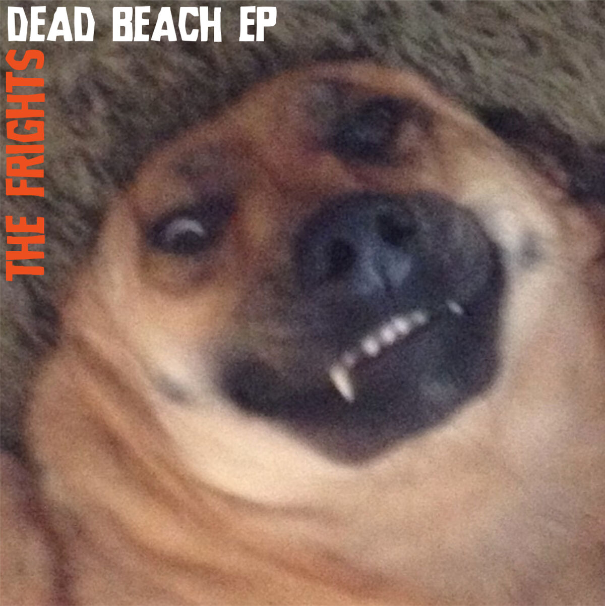 Album cover of Bone Down