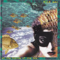 At The Bottom Of The Sea