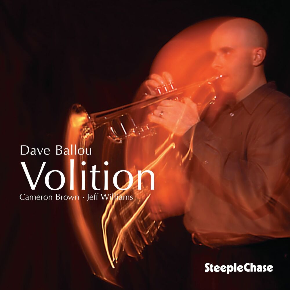 Picture of Volition